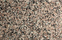 �ѻ��t����