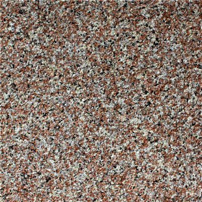 ����t����֦��