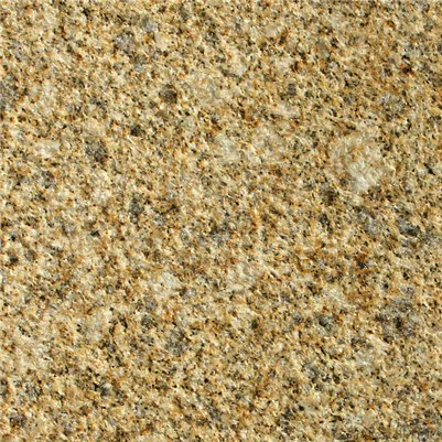 �����Z����֦��